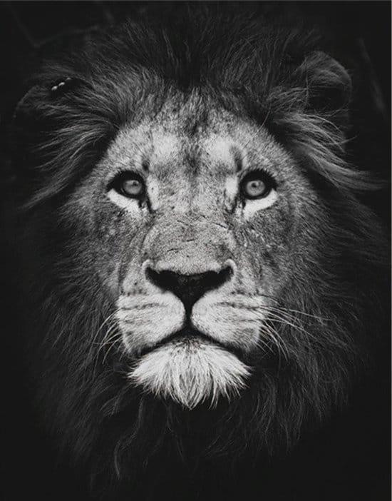 Tilgængelig med det samme