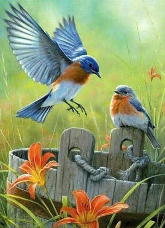 Diamantmaling Røde Bryster - SEOS Shop ®