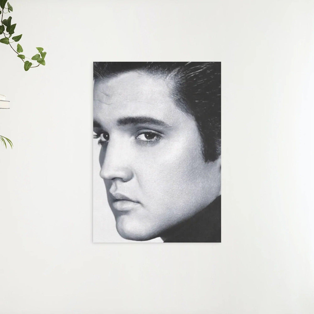 Diamantmaleri Elvis Presley i sort-hvid - SEOS Shop ®