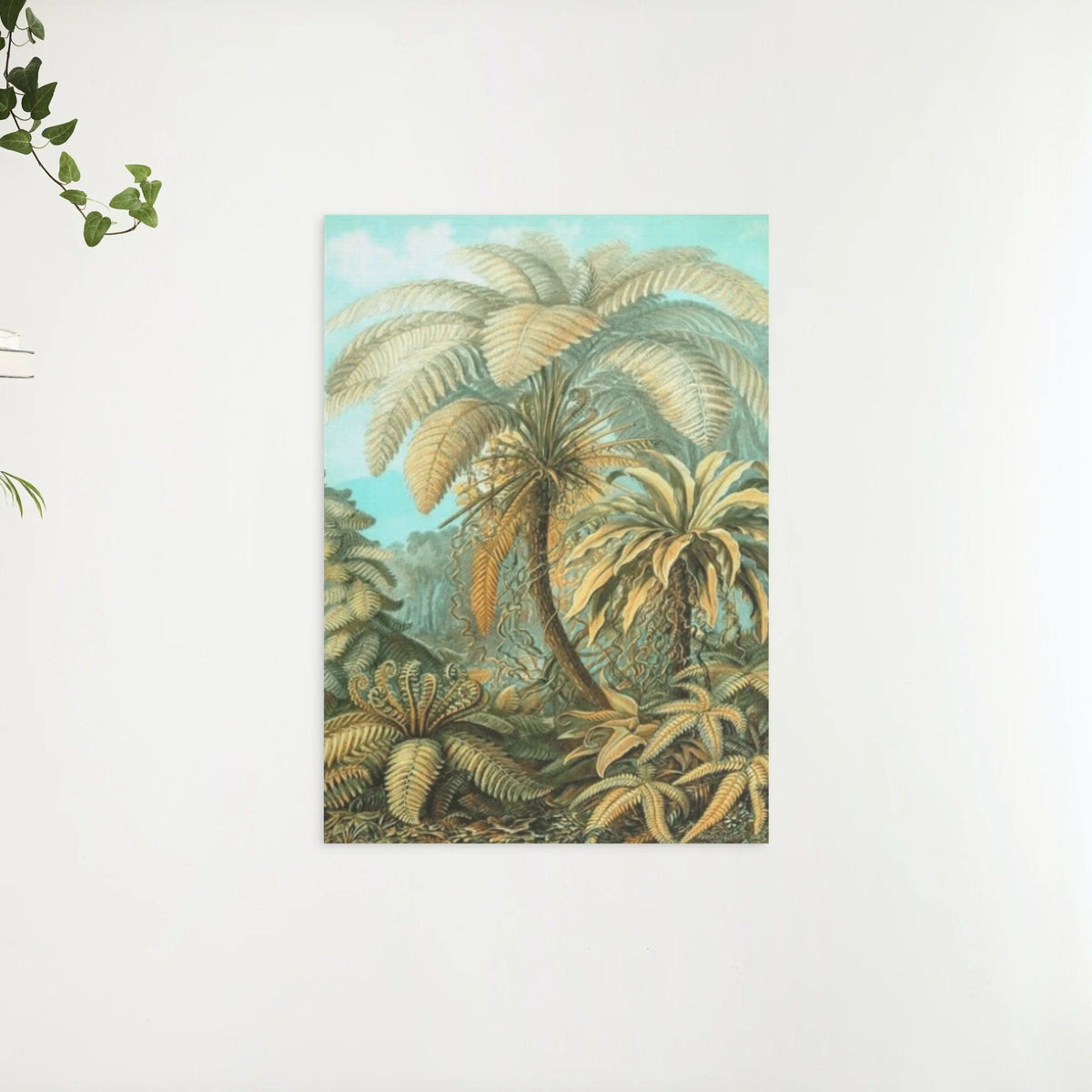 Diamantmaleri Filicinae Ernst Haeckel - SEOS Shop ®