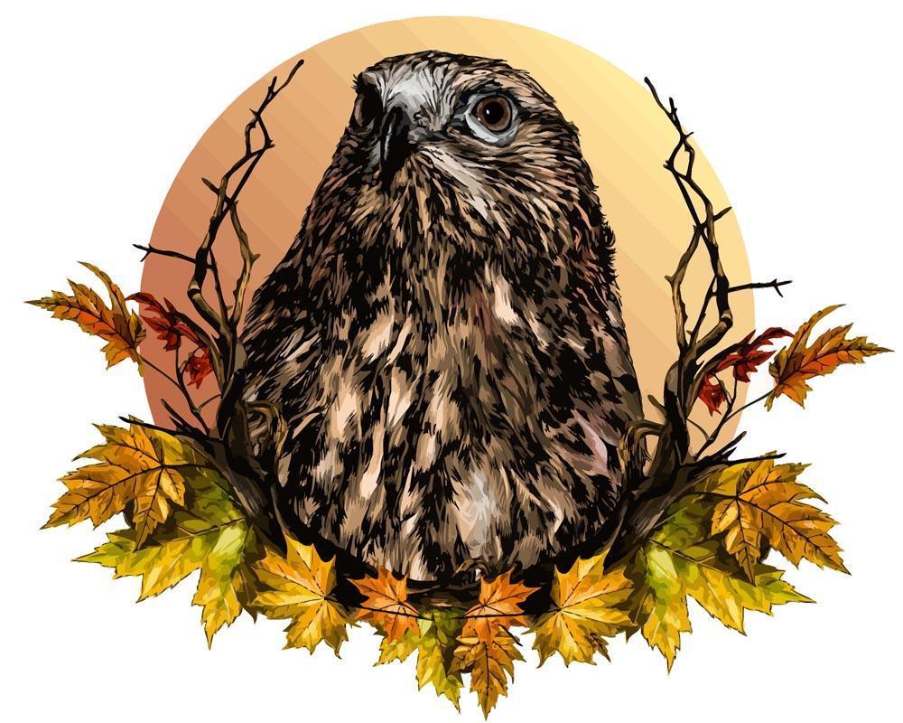 Diamantmaling - Høgehoved - SEOS®