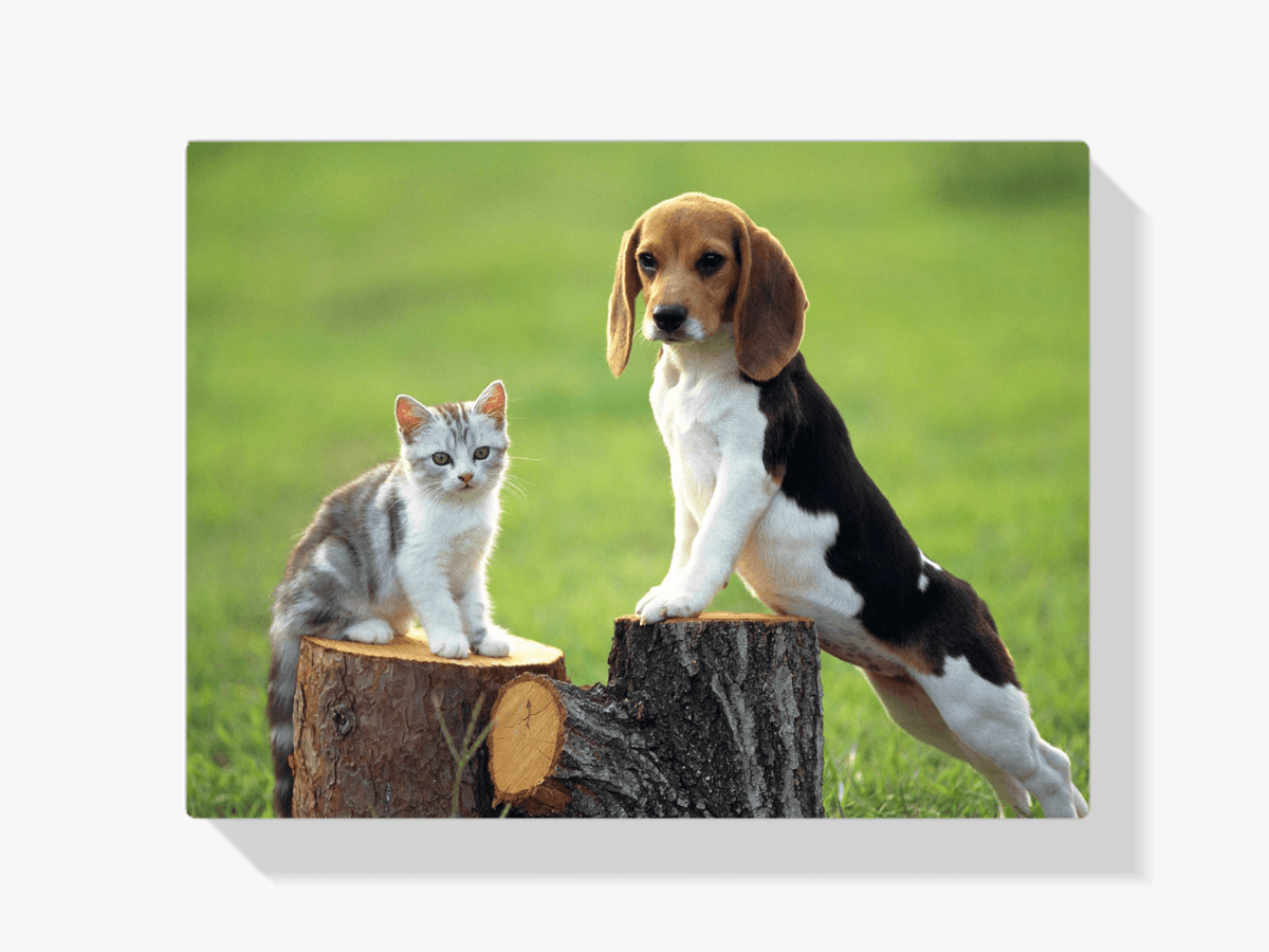 Diamantmaling Hund med Kat - SEOS Shop ®