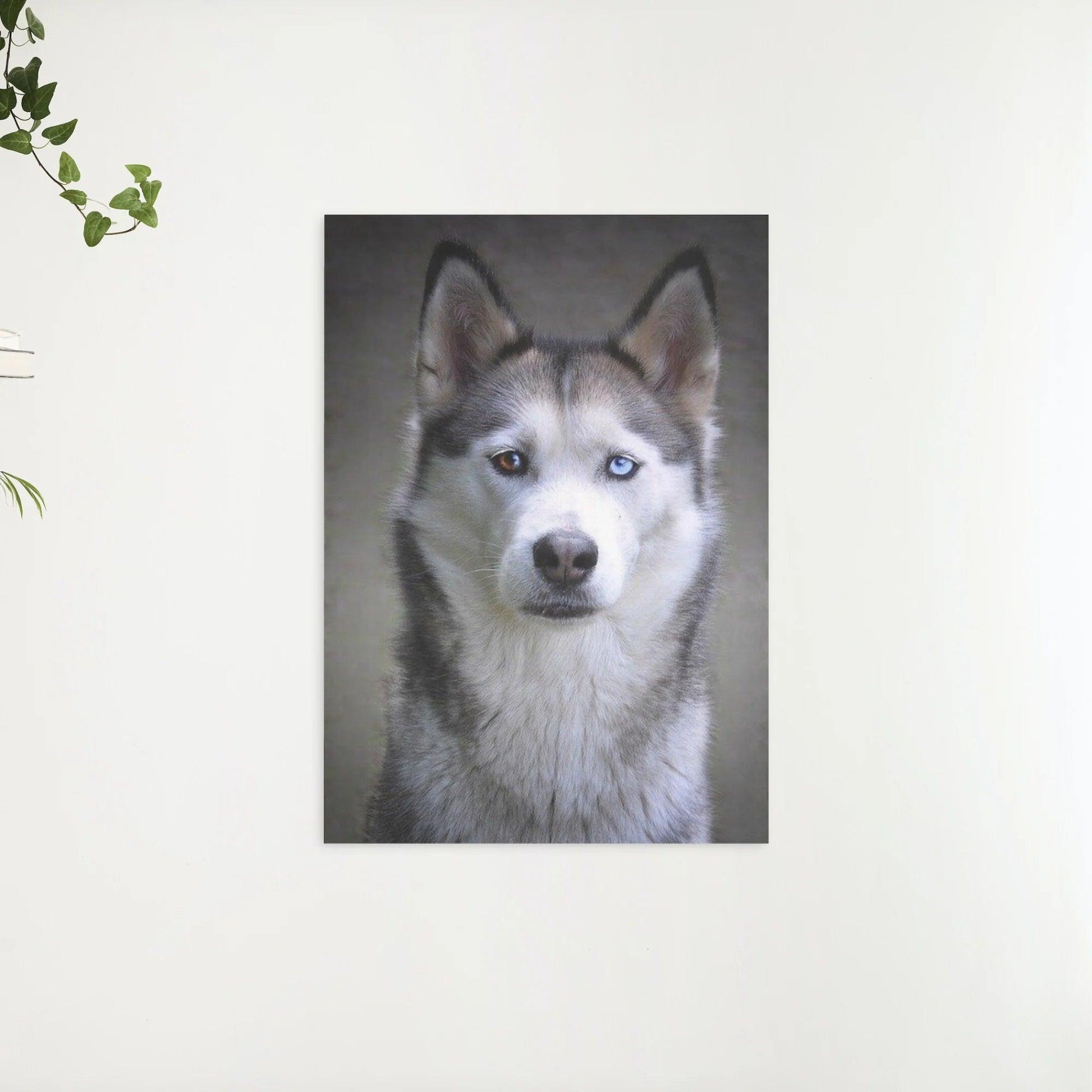 Diamantmaling Husky med hvalpøjne - SEOS Shop ®