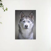 Diamantmaling Husky med hvalpøjne - SEOS Shop ®