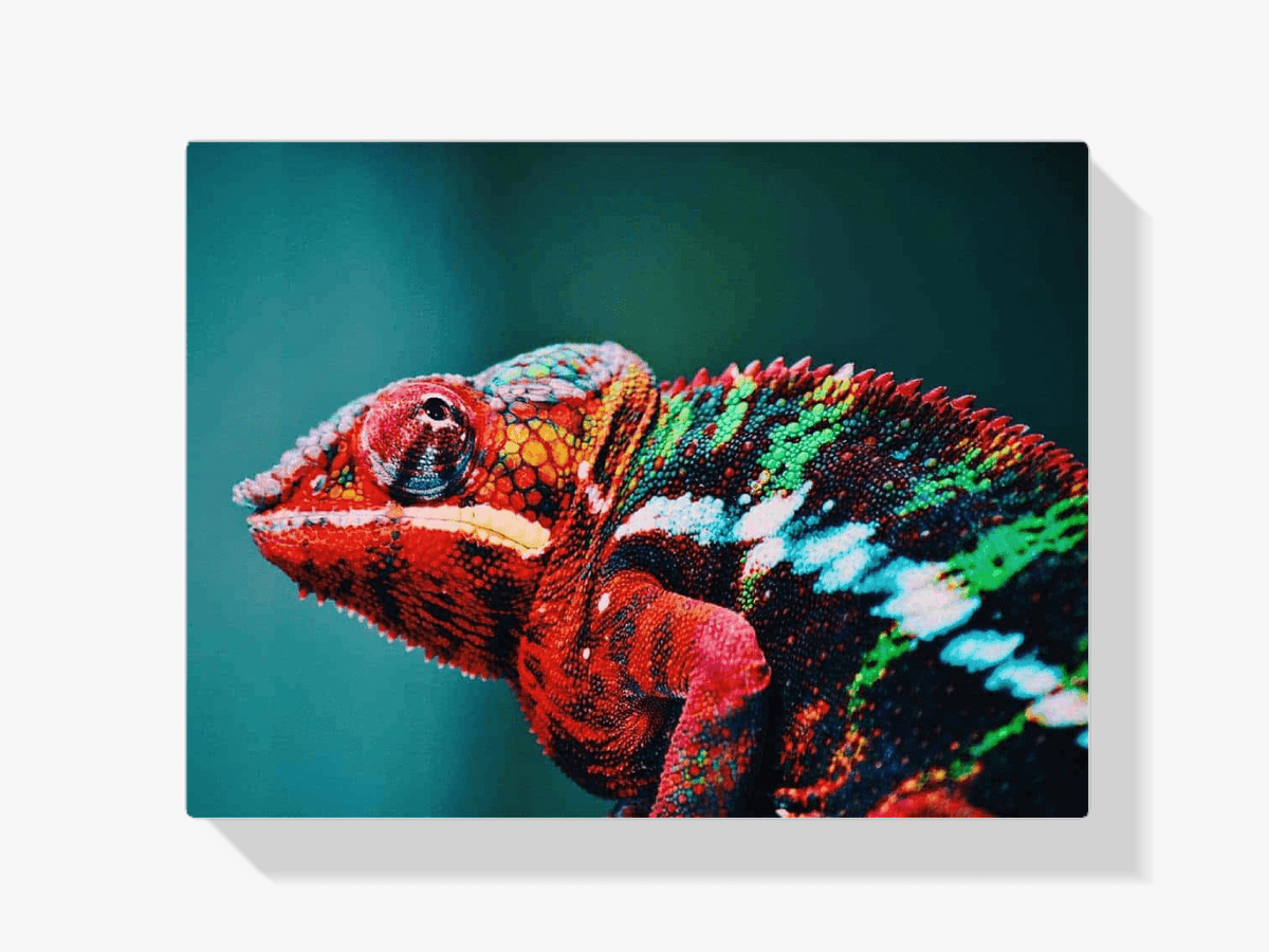 Diamantmaleri Kamæleon 45x30 cm – SEOS Shop ®