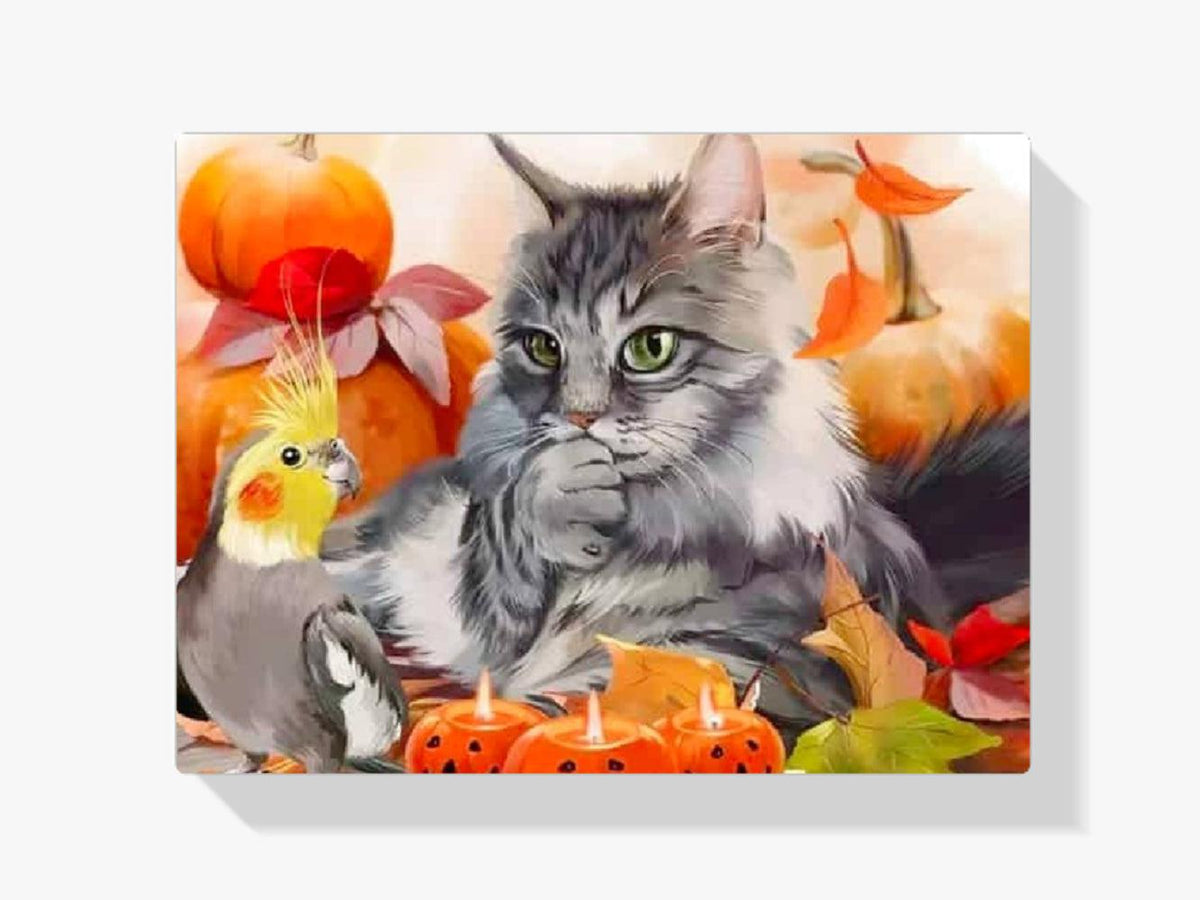 Diamantmaling Kat - SEOS Shop ®