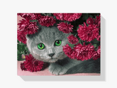 Diamantmaling Kat med Blomster - SEOS Shop ®