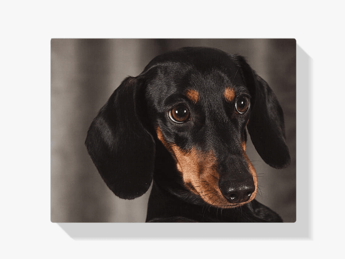 Diamantmaling Lille Gravhund - SEOS Shop ®