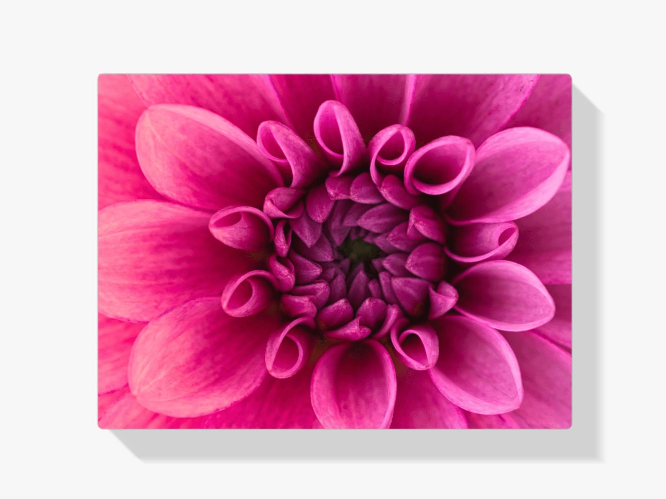 Diamantmaleri Makrobillede af blomst - SEOS Shop ®