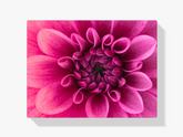 Diamantmaleri Makrobillede af blomst - SEOS Shop ®