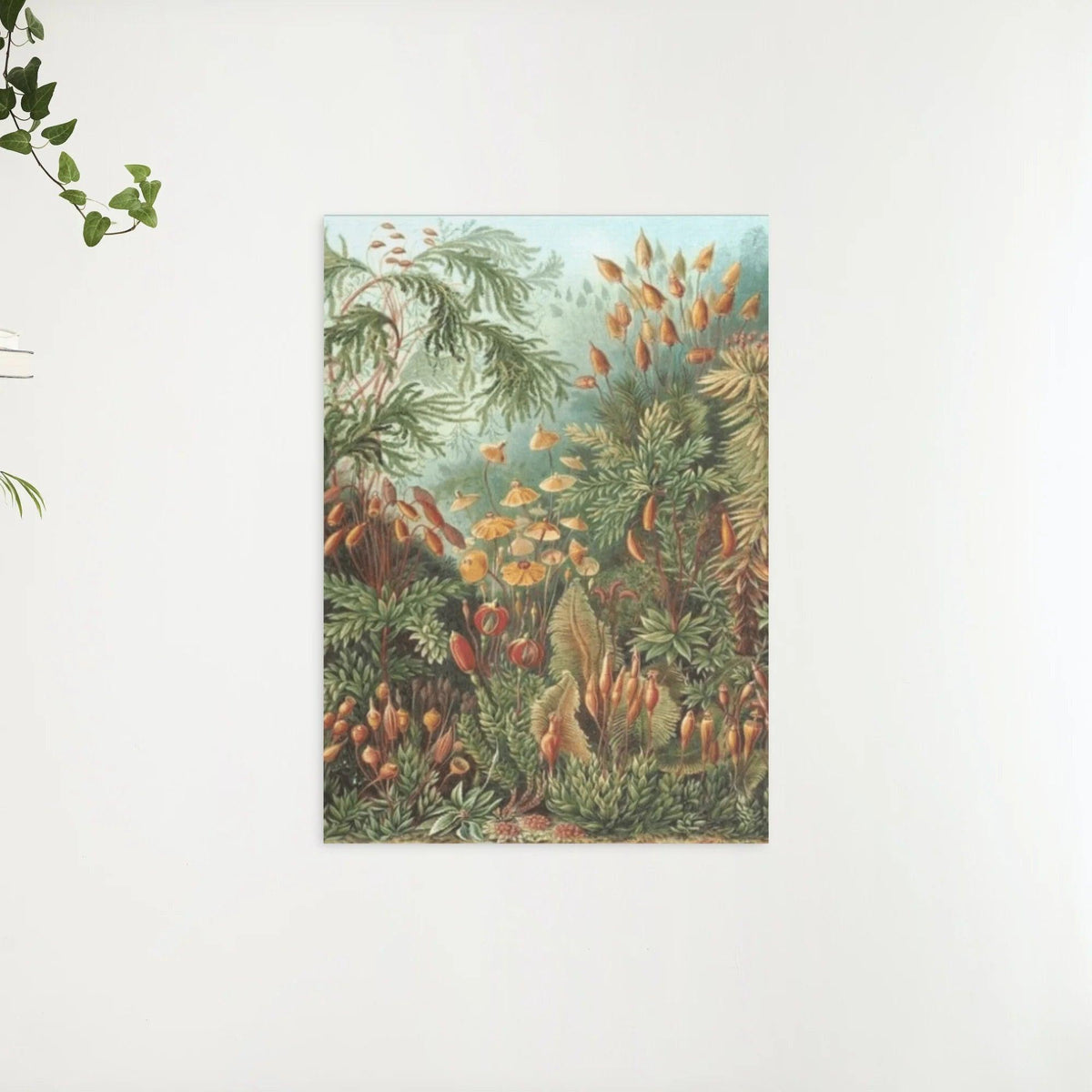 Diamantmaling Muscinae - SEOS Shop ®