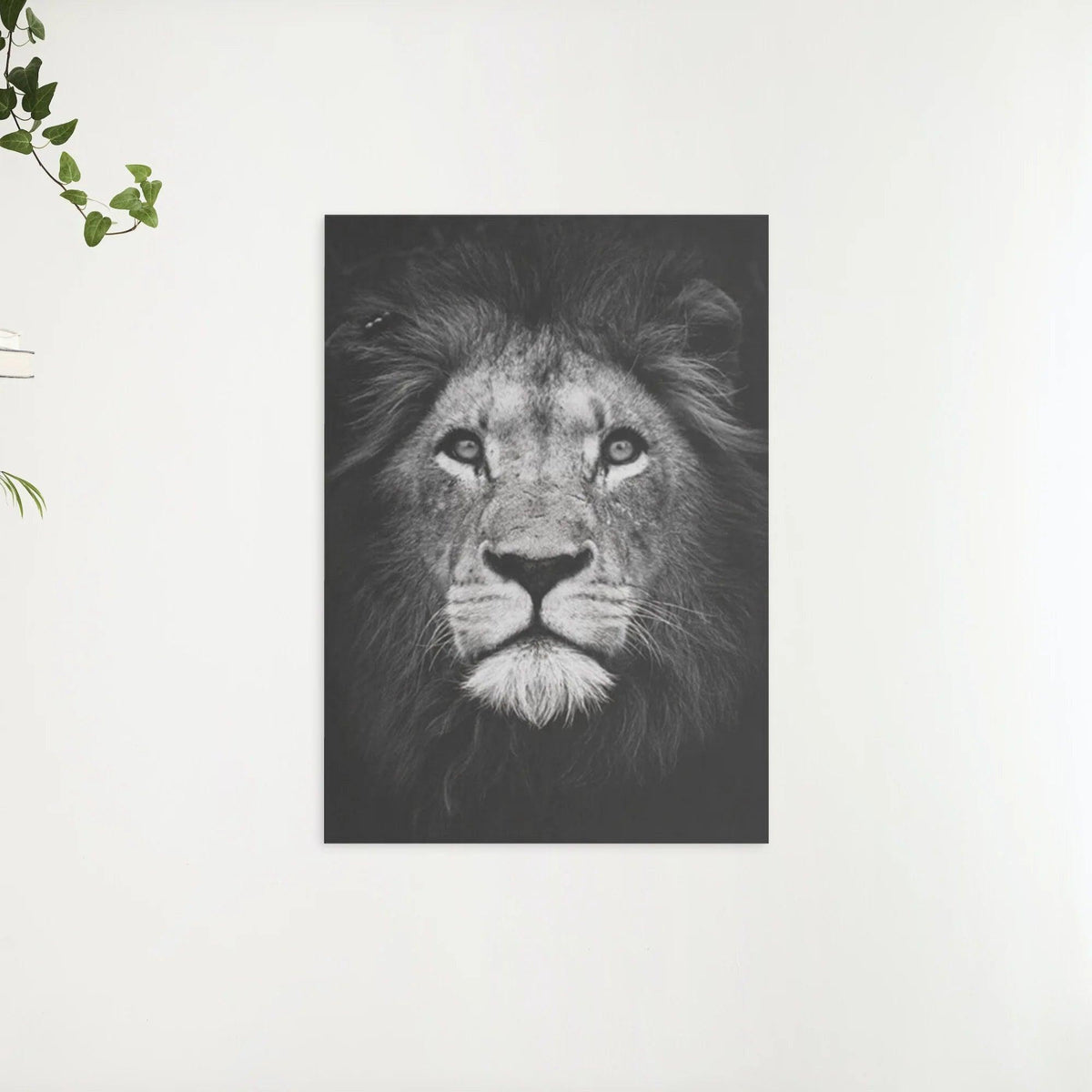 Diamantmalingssæt Sort og Hvid Løve - SEOS Shop ®