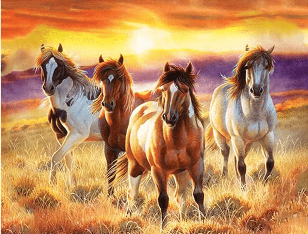 Diamantmaling Smukke Heste på en Mark - SEOS Shop ®