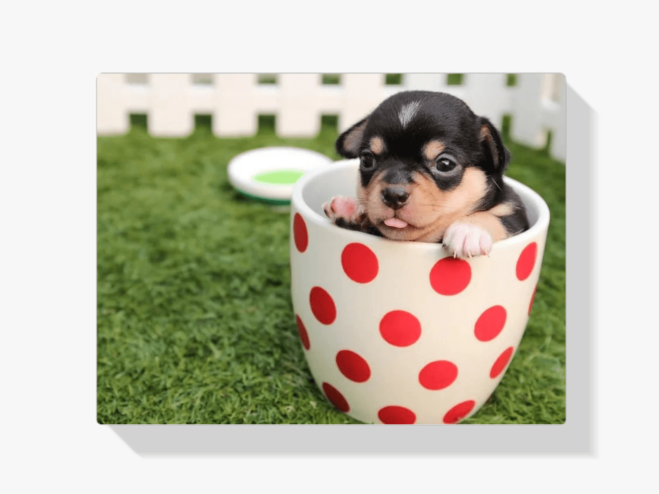 Diamantmaleri Hvalp i en Kop 45x30 cm - SEOS Shop®