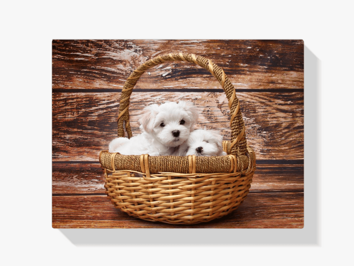 Diamantmaling Hvalpe i en Kurv - SEOS Shop ®