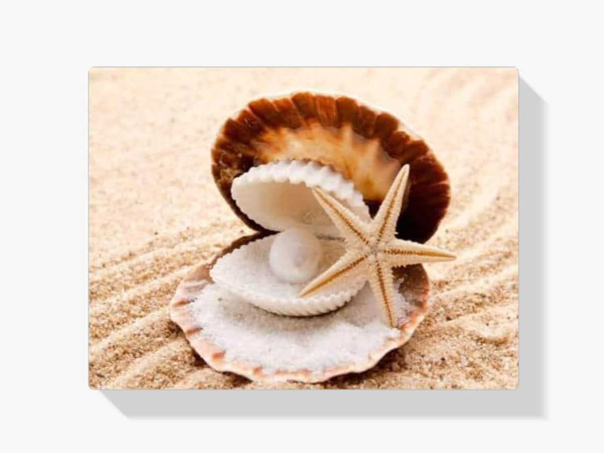 Diamantmaling med skaller og perler – SEOS Shop ®