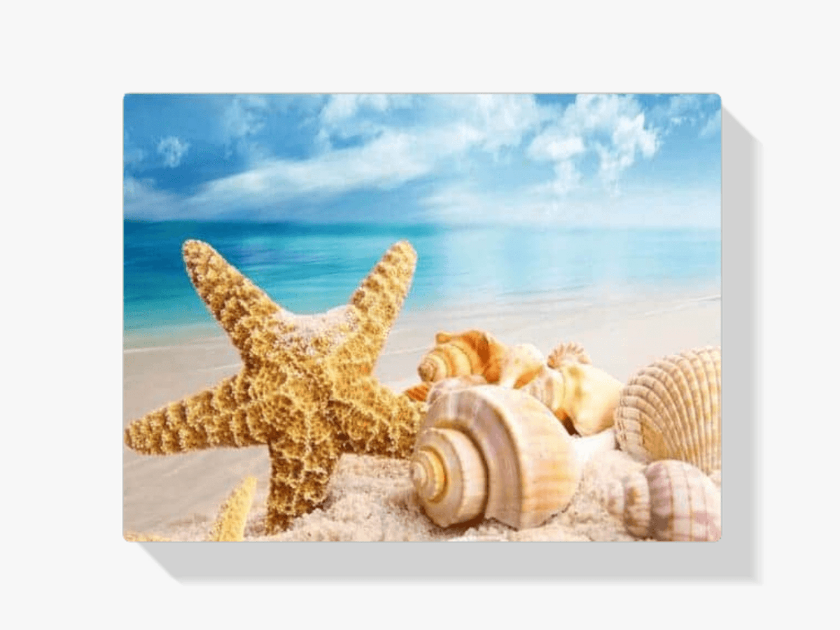 Diamantmaling af skaller på stranden – 40x50 cm – SEOS Shop ®
