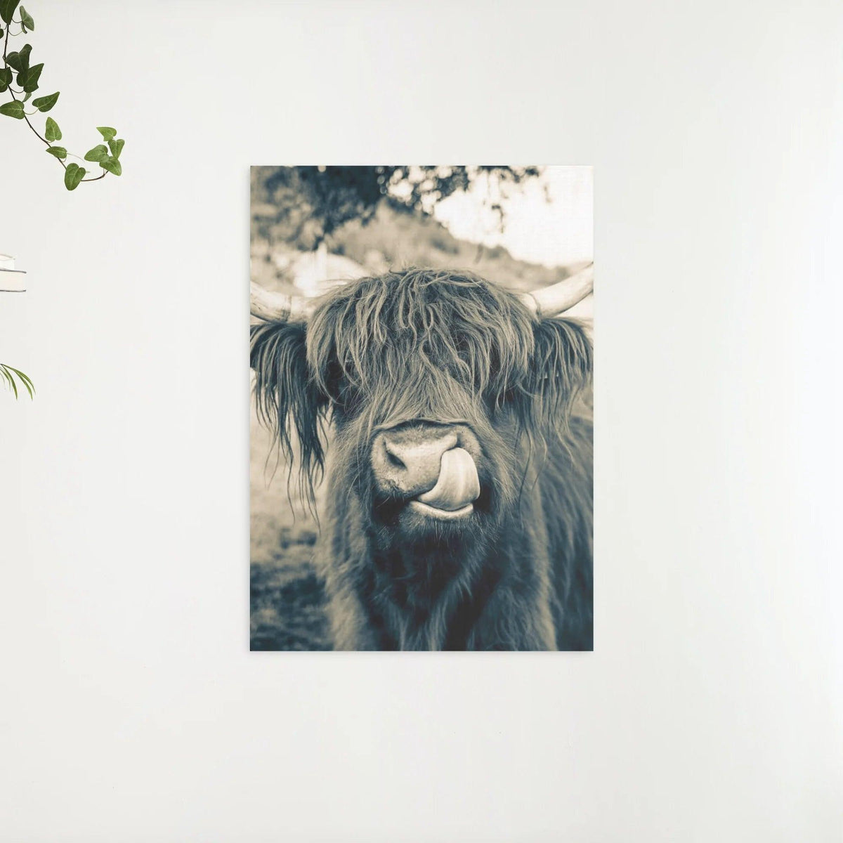 Diamantmaleri Skotsk højlander - Skotsk højlander i sepia-stil - SEOS Shop ®