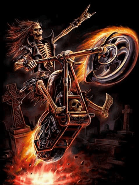 Diamantmaleri Ghost Rider - SEOS Shop ®