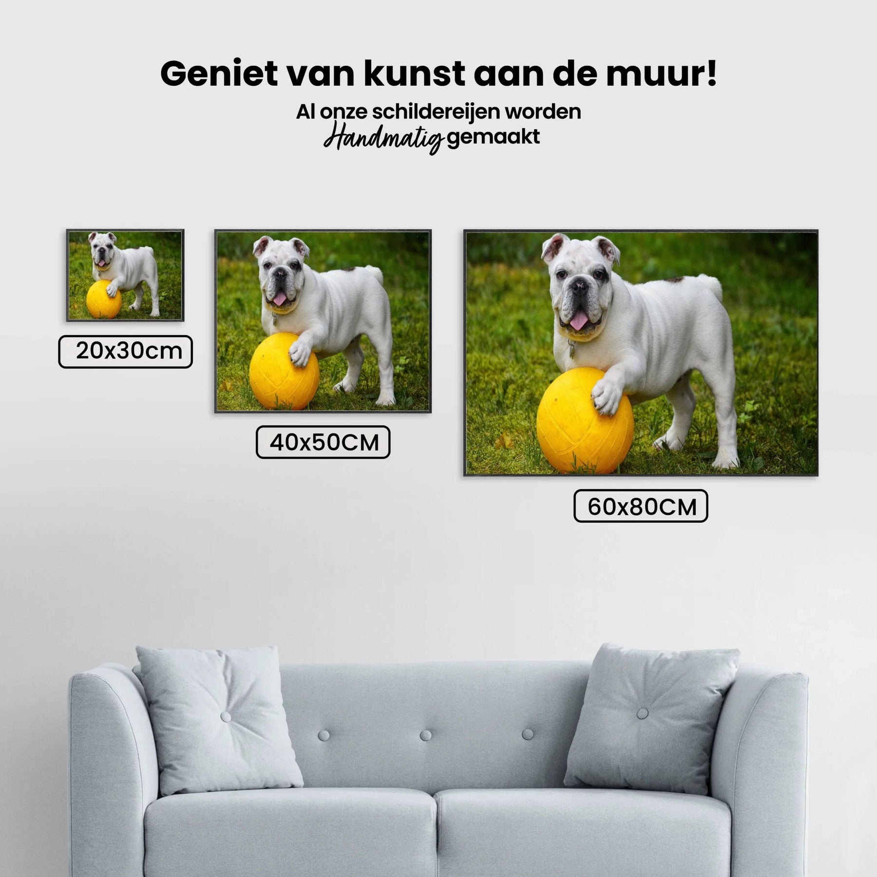 Diamantmaling Hvid bulldog med bold - SEOS Shop ®