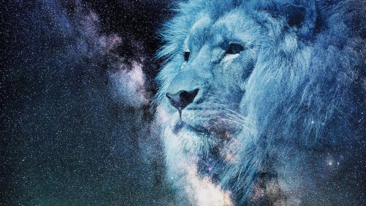 Diamantmaleri Hvid Løve - SEOS Shop ®