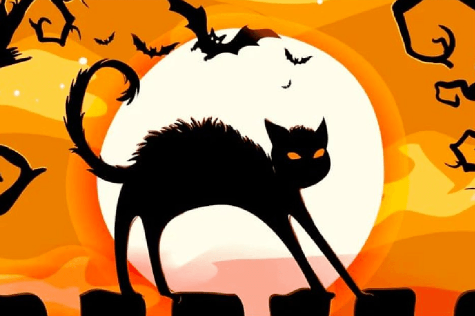 Diamantmaleri Sort kat i natten - SEOS Shop ®