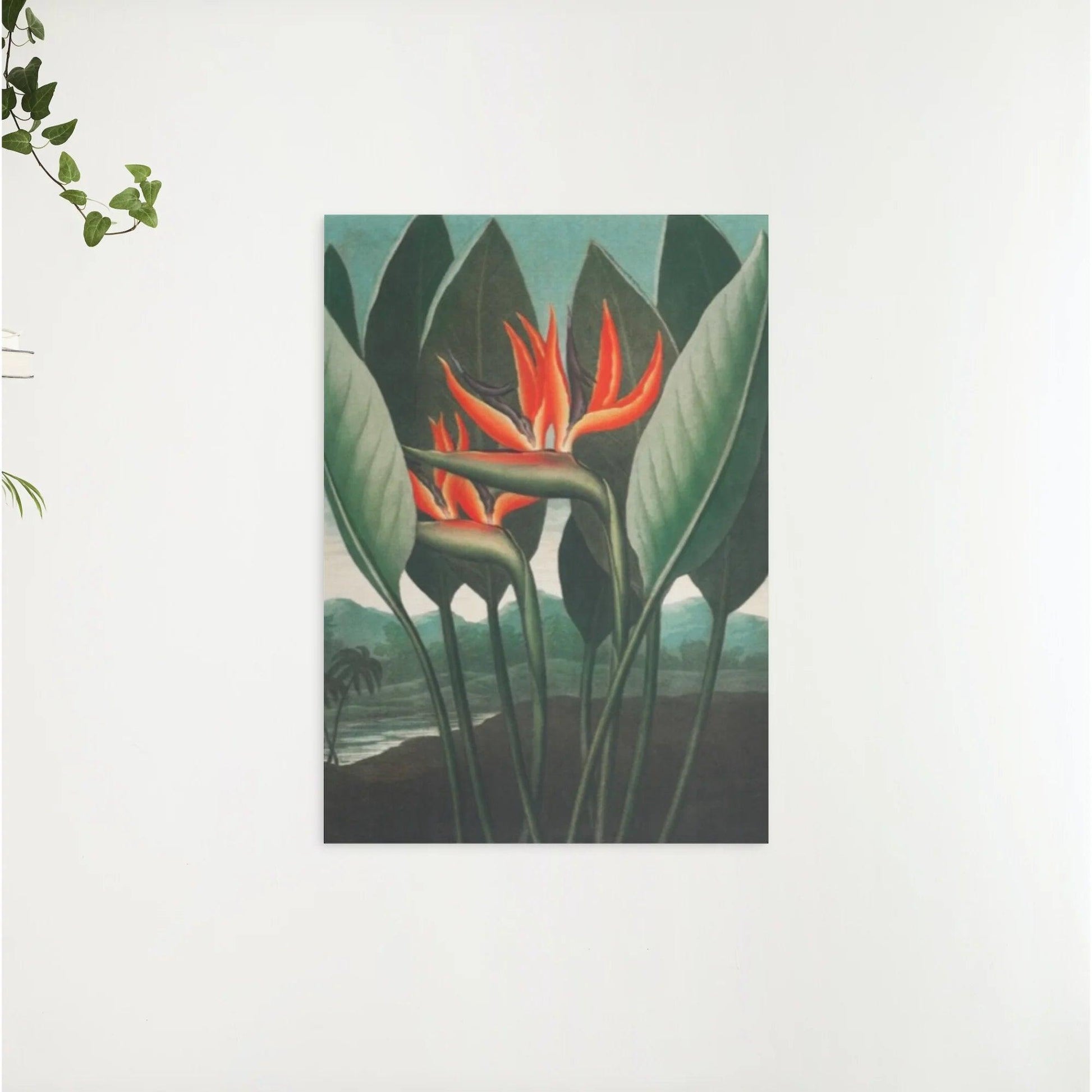 Diamantmaleri - Dronningplanten - SEOS Shop ®