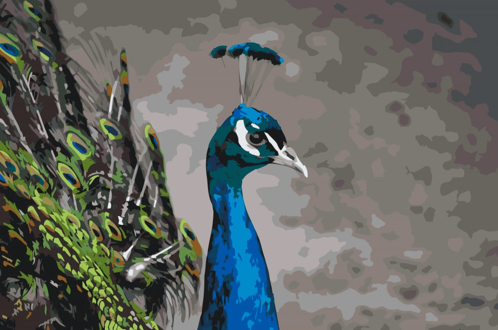 Diamantmaling - Den majestætiske påfugl - SEOS®