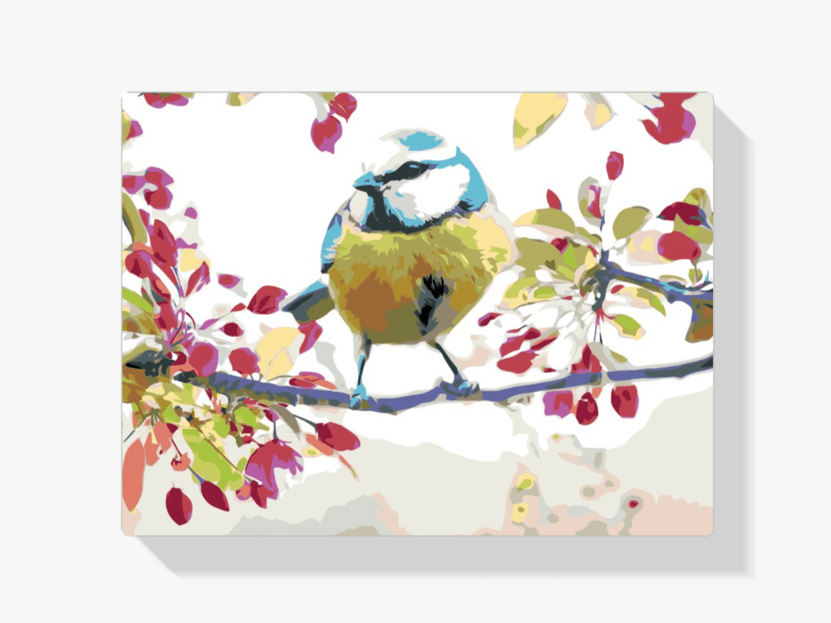 Diamantmaling - Fuglen - SEOS®