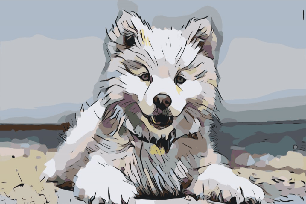 Diamantmaling - Glad pels - SEOS®