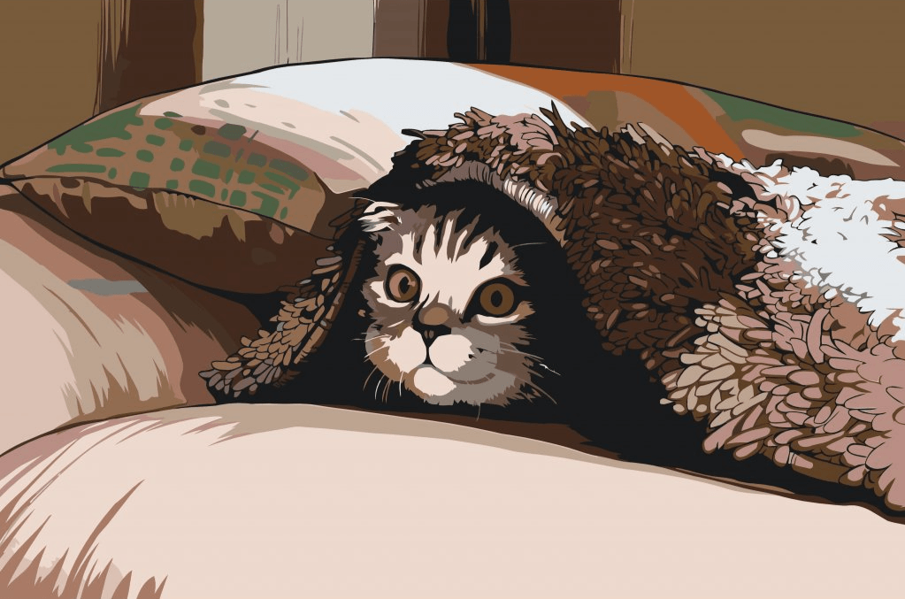 Diamantmaling - Kat under puden - SEOS®