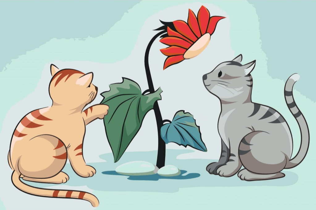 Diamantmaling - Katte og blomster - SEOS®