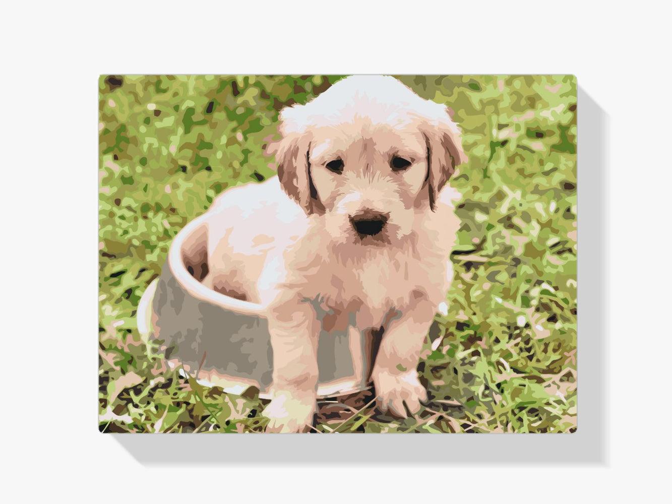 Diamantmaleri - Labrador i en skål - SEOS®