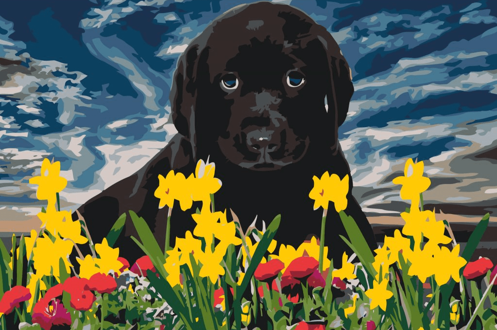 Diamantmaleri - Labrador hvalp - SEOS®