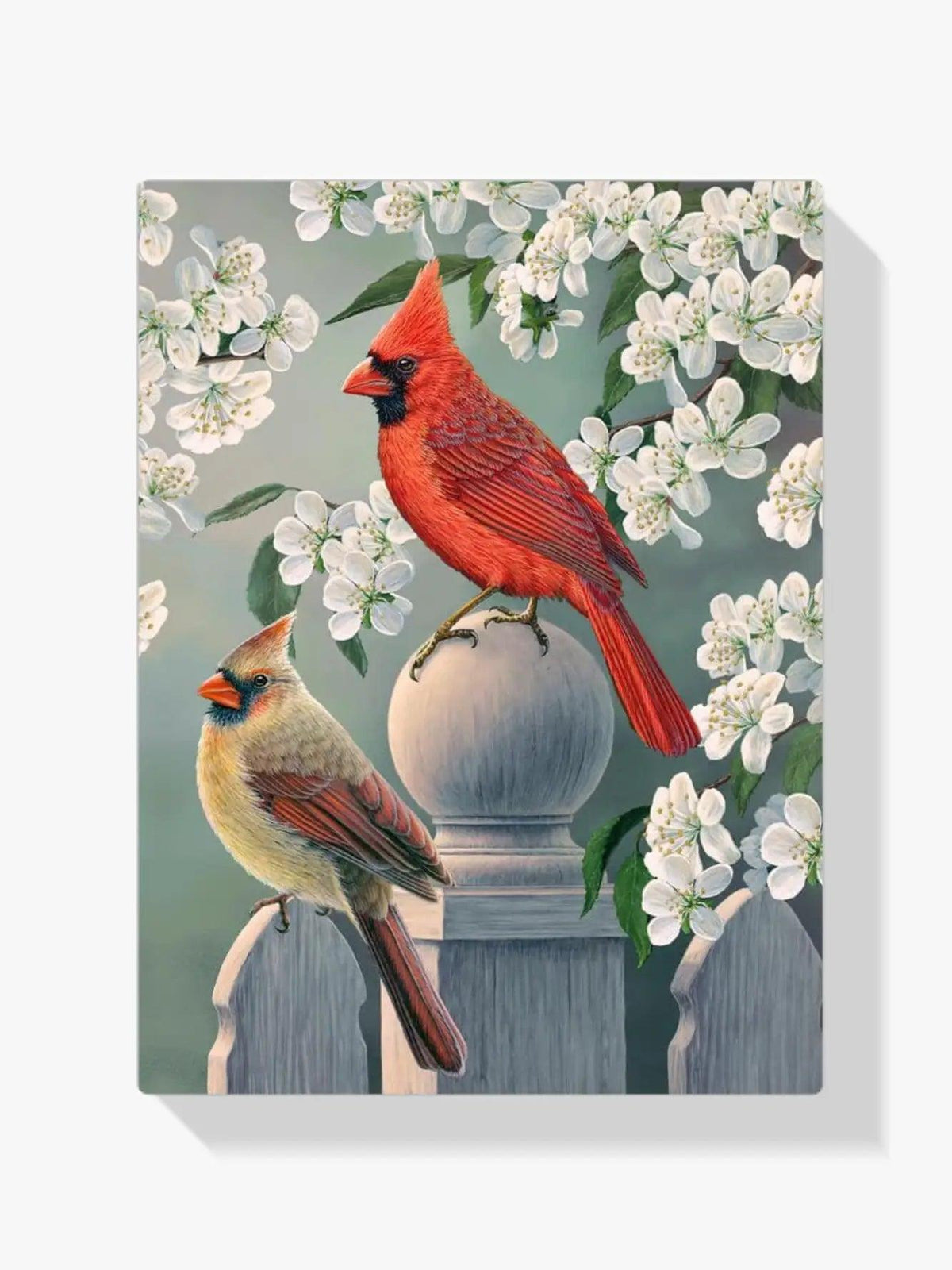 Diamantmaleri - Kardinalpar i baghaven