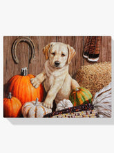 Diamantmaleri - Græskarhøsthvalp