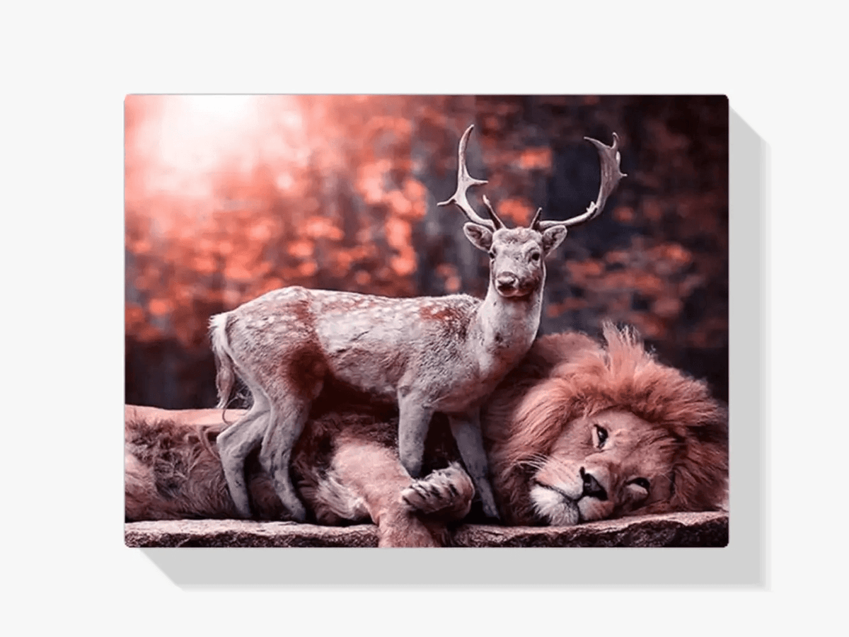 Diamantmaling Hjort på Løve - SEOS Shop ®