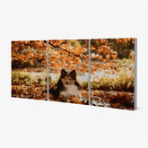 Diamantmaling Hund i skoven 3 dele - SEOS Shop ®