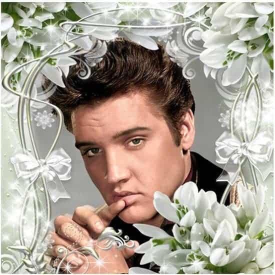 Diamantmaleri Elvis Presley - SEOS Shop ®