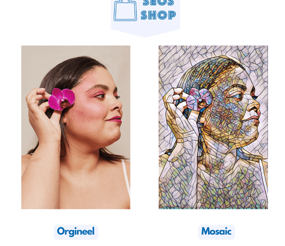 Diamantmaling af dit eget foto - Filtre