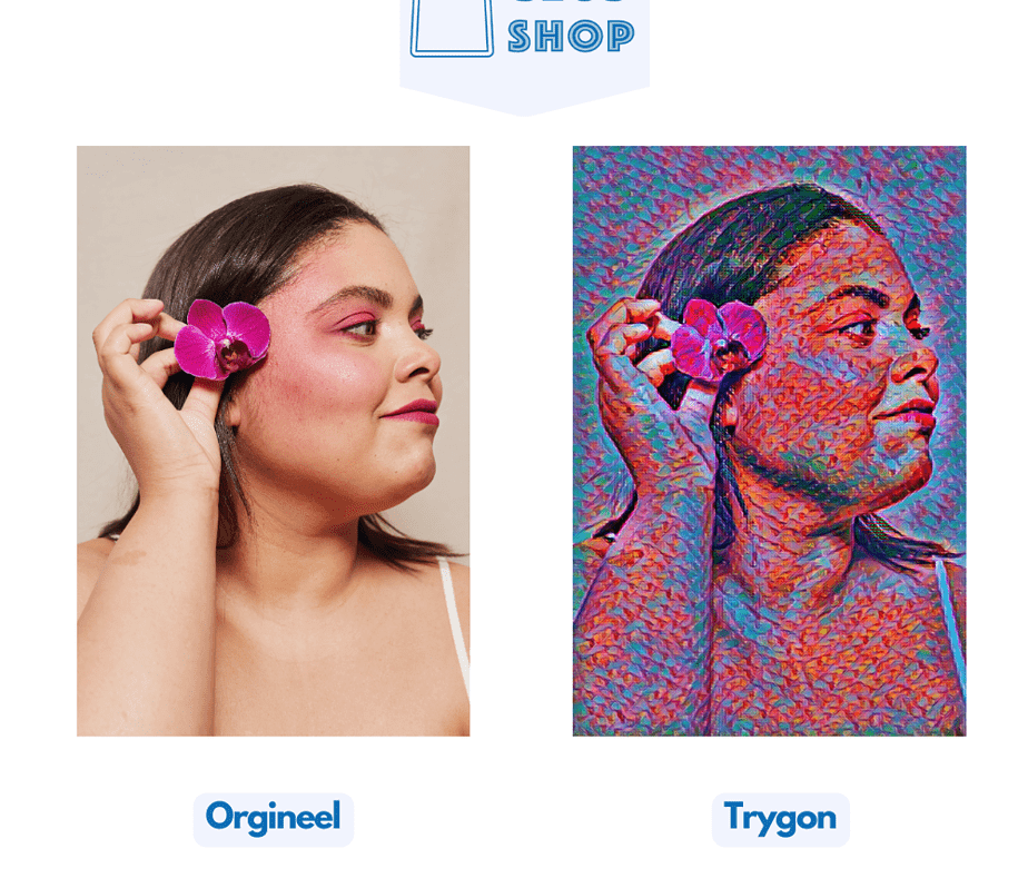 Diamantmaling af dit eget foto - Filtre