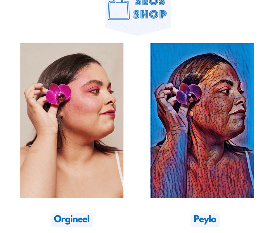 Diamantmaling af dit eget foto - Filtre