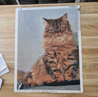 Diamantmaleri af en kat
