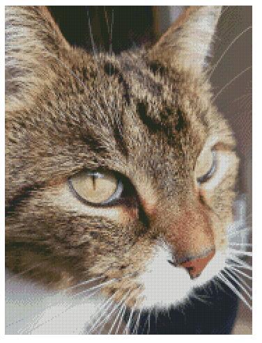 Diamantmaling af dit eget foto - Tips og eksempler på layout