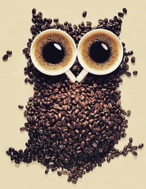 Diamantmaleri Kaffebønne Ugle - SEOS Shop ®