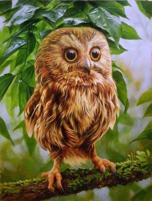 Diamantmaling Lille Ugle - SEOS Shop ®