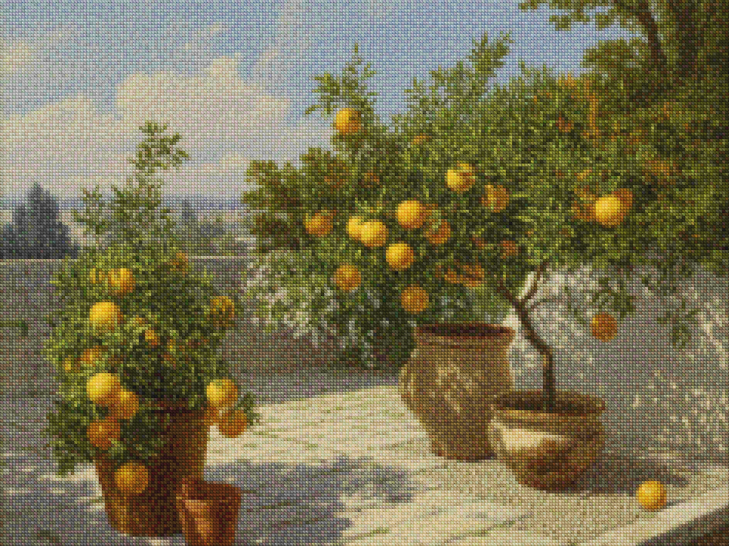 Diamantmaleri - Citrushave