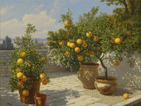 Diamantmaleri - Citrushave