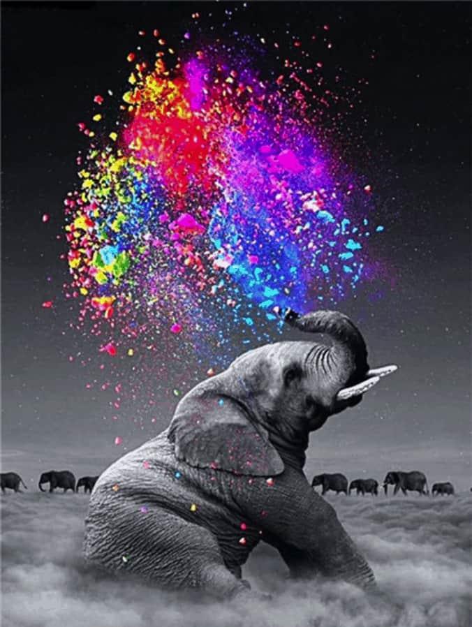 Diamantmaleri Farverig Elefant - SEOS Shop ®