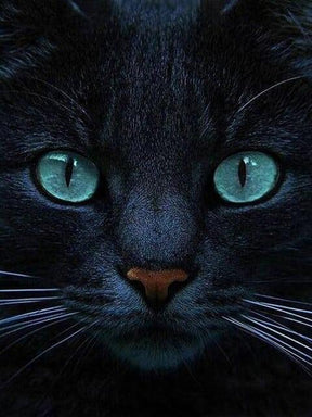 Diamantmaleri Sort kat og blå øjne - SEOS Shop ®